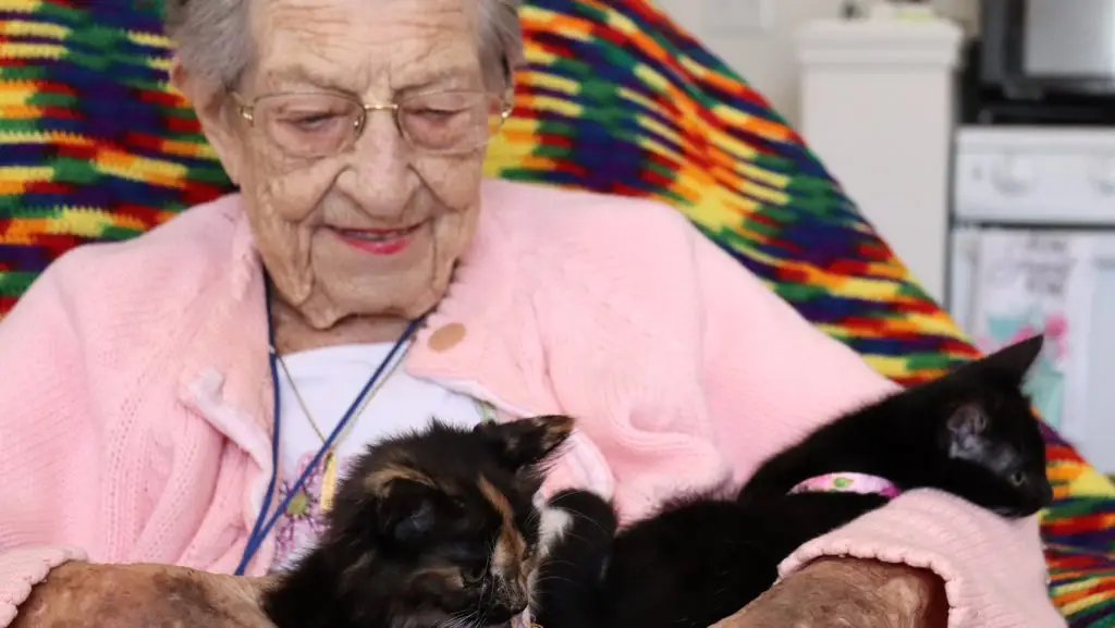 Connie smiling with kittens in her lap